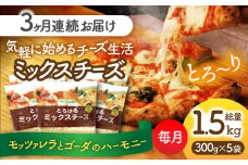 【3回定期便】 ミックスチーズセット 300g×5袋 3ヵ月お届け 合計4.5kg チーズ 大容量 個包装 愛西市 / 株式会社ヨシダコーポレーション [AEAA003]