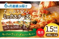 【6回定期便】 ミックスチーズセット 300g×5袋 6ヵ月お届け 合計9kg チーズ 大容量 個包装 愛西市 / 株式会社ヨシダコーポレーション [AEAA004]