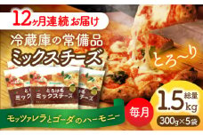 【12回定期便】 ミックスチーズセット 300g×5袋 12ヵ月お届け 合計18kg チーズ 大容量 個包装 愛西市 / 株式会社ヨシダコーポレーション [AEAA005]