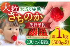 【先行予約/2026年1月上旬より順次発送】 さちのかいちご 500g×2パック 計1kg 【配達不可：離島】 イチゴ フルーツ 果物 愛西市 / 平野苺 [AEAY001]