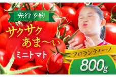 【先行予約】  ＼毎年10月より順次発送／ ミニトマト(フロランティーノ) 800g トマト 野菜 新鮮 期間限定トマト 愛西市 / 株式会社石原農園 [AEBG004]