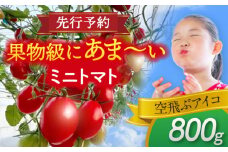 【先行予約】 ＼毎年1月より順次発送／ ミニトマト(空飛ぶアイコ)800g トマト 野菜 新鮮 期間限定トマト 愛西市 / 株式会社石原農園 [AEBG006]
