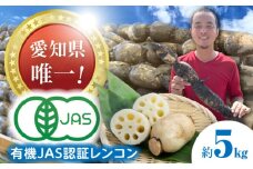 ＼毎年10月より順次発送／れんこん 5kg 有機JAS認証土付きレンコン 有機栽培 産地直送 野菜 愛西市 / 山三レンコン [AEBK004]
