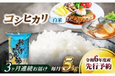 【3回定期便】コシヒカリ 白米 5kg×3回 愛西市 / 脇野コンバイン 米 お米 コメ [AECP024]