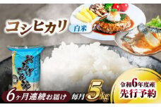 【6回定期便】コシヒカリ 白米 5kg×6回 愛西市 / 脇野コンバイン 米 お米 コメ [AECP025]