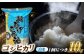 コシヒカリ 白米 10kg×6回 定期便 新米 令和6年度産
