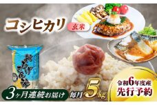 【3回定期便】コシヒカリ 玄米 5kg×3回 愛西市 / 脇野コンバイン  米 お米 コメ [AECP033]