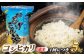 コシヒカリ 玄米 5kg×6回 定期便 令和6年度産 新米