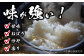 コシヒカリ 玄米 5kg×6回 定期便 令和6年度産 新米