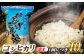 コシヒカリ 玄米 10kg×3回 定期便 新米 令和6年度産