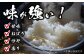 コシヒカリ 玄米 10kg×3回 定期便 新米 令和6年度産