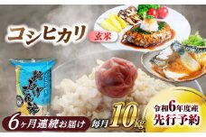 【6回定期便】コシヒカリ 玄米 10kg×6回 愛西市 / 脇野コンバイン 米 お米 コメ [AECP037]