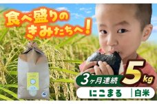【3回定期便】にこまる  白米  5kg  お米  ご飯  愛西市 / 株式会社戸倉トラクター [AECS058]