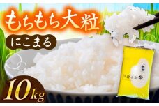【先行予約/10月より順発送】 【令和7年度産 新米 】 にこまる 白米 10kg お米 ご飯  愛西市 / 戸倉トラクター 【配達不可：離島】 [AECS056]