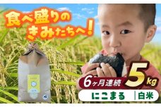 【6回定期便】にこまる  白米  5kg  お米  ご飯  愛西市 / 株式会社戸倉トラクター [AECS059]