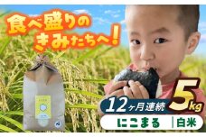 【12回定期便】にこまる  白米  5kg  お米  ご飯  愛西市 / 株式会社戸倉トラクター [AECS060]