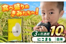 【3回定期便】にこまる  白米  10kg  お米  ご飯  愛西市 / 株式会社戸倉トラクター [AECS061]