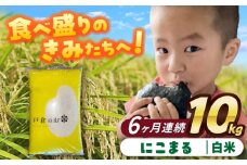 【6回定期便】にこまる  白米  10kg  お米  ご飯  愛西市 / 株式会社戸倉トラクター [AECS062]