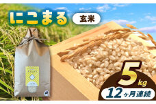 【12回定期便】にこまる  玄米  5kg  お米  ご飯  愛西市 / 株式会社戸倉トラクター [AECS069]