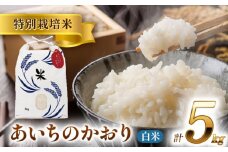【4月発送】愛知県産あいちのかおり 白米5kg 特別栽培米 ご飯 精米 愛西市 / 戸典オペレーター [AECT024-4]