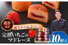 焼き菓子 いちごのマドレーヌ いちご農園 10個入り 洋菓子 イチゴ マドレーヌ 愛西市 / エール・ブランシュ 【配達不可：離島】 [AEAU006]