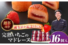 焼き菓子 いちごのマドレーヌ いちご農園 16個入り 洋菓子 マドレーヌ イチゴ 愛西市 / エール・ブランシュ 【配達不可：離島】 [AEAU007]