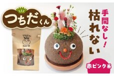 プリザーブドFLOWER つちだくん 赤ピンク系 プリザーブドフラワー 造花 インテリア 愛西市 / 花のひより園 [AEAX004]