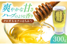 あいさいはちみつ クロガネモチ 300g 蜂蜜 国産 チューブ 愛西市 / あいさいはちみつ [AEBP001]