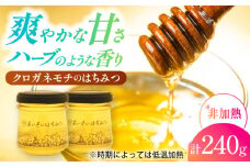あいさいはちみつ クロガネモチ 120g×2本 蜂蜜 国産 非加熱 愛西市 / あいさいはちみつ [AEBP002]