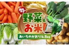 愛西市産 あいちのかおり4.5kgと旬の季節野菜詰め合わせ 精米 お米 野菜 愛西市 / お米の三輪 [AECM002]
