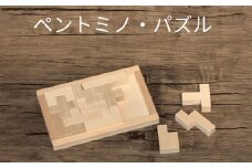 木製ブロック ペントミノ・パズル 知育玩具 脳トレ リハビリ 積み木 自然素材 愛西市 / クニミチ工芸 [AECK002]