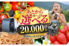 【あとから選べる】 愛知県愛西市ふるさとギフト 2万円分 日本酒 スイーツ シャンプー あとから ギフト [AECY001]