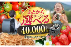 【あとから選べる】 愛知県愛西市ふるさとギフト 4万円分 日本酒 スイーツ シャンプー あとから ギフト [AECY003]
