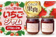 【先行予約】 ＼毎年2月より順次発送／ いちご農家の手作り いちご ジャム 苺 フルーツ 甘い 愛西市 / しのだ農園 [AECE003]