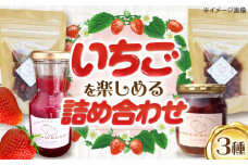 いちご農家の手作り いちご ジャム 詰め合わせ B 苺 フルーツ 甘い 愛西市 / しのだ農園 [AECE005]