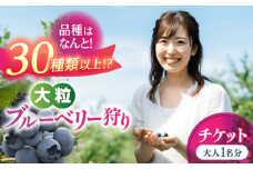 ブルーベリー狩り チケット 大人1人分 80分間食べ放題 ブルベリー 体験 チケット 愛西市 / あいさいベリーLABO [AEBZ007]