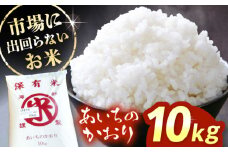 【 先行予約 11月以降順次発送】 あいちのかおり 精米 10kg お米 白米 愛西市 / 鷲野聰明 [AEDF001]