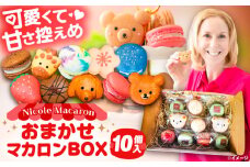 おまかせ マカロンボックス 10個入り マカロン 焼菓子 スイーツ 愛西市 / ニコールマカロン [AEDA001]