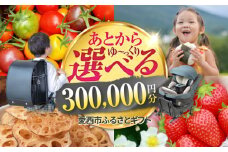 【あとから選べる】 愛知県愛西市ふるさとギフト 30万円分 日本酒 スイーツ シャンプー あとから ギフト [AECY011]
