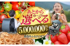 【あとから選べる】 愛知県愛西市ふるさとギフト 500万円分 日本酒 スイーツ シャンプー あとから ギフト [AECY022]