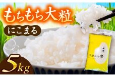 ＼10月より順発送／ 【令和7年度産 新米 】  にこまる  白米  5kg  お米  精米 ご飯  愛西市 / 株式会社戸倉トラクター [AECS055]