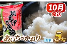 【10月発送】あいちのかおり 白米 5kg 愛西市 / 脇野コンバイン  米 お米 コメ [AECP001-1]