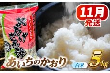 【11月発送】あいちのかおり 白米 5kg 愛西市 / 脇野コンバイン 米 お米 コメ [AECP001-2]