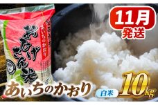 【11月発送】あいちのかおり 白米 10kg 愛西市/脇野コンバイン  米 お米 コメ [AECP002-2]