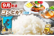 【9月発送】コシヒカリ　白米　5kg　米　お米　ご飯　愛西市/脇野コンバイン [AECP021-1]