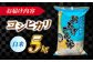 コシヒカリ 白米 5kg