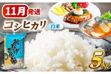 【11月発送】コシヒカリ 白米 5kg 愛西市 / 脇野コンバイン 米 お米 コメ [AECP021-3]