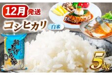 【12月発送】コシヒカリ 白米 5kg 愛西市 / 脇野コンバイン 米 お米 コメ [AECP021-4]
