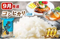 【9月発送】コシヒカリ　白米　10㎏　米　お米　ご飯　愛西市/脇野コンバイン[AECP022-1]