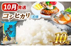 【10月発送】コシヒカリ 白米 10㎏ 愛西市 / 脇野コンバイン 米 お米 コメ [AECP022-2]